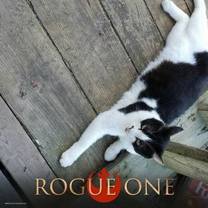 Meet your Posher, Margaret